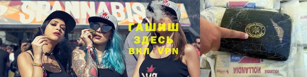 дживик Верхний Тагил