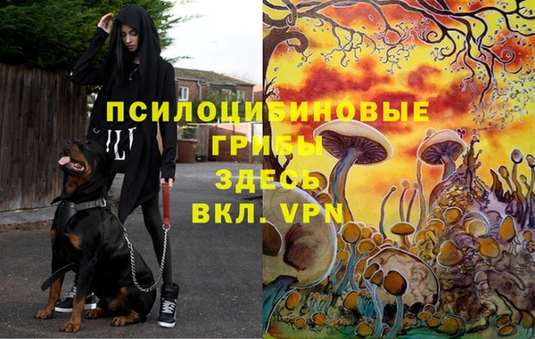 марки lsd Верея