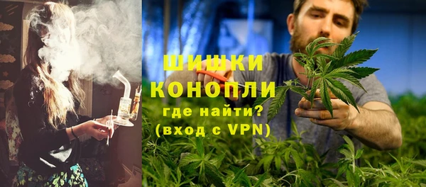 дживик Верхний Тагил