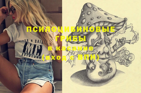 дживик Верхний Тагил
