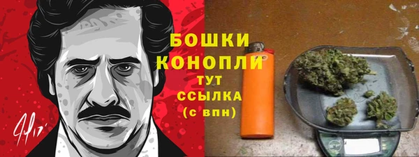 дживик Верхний Тагил